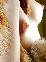 Hard Nipples, Hot Erotic Photos from MPL Studios